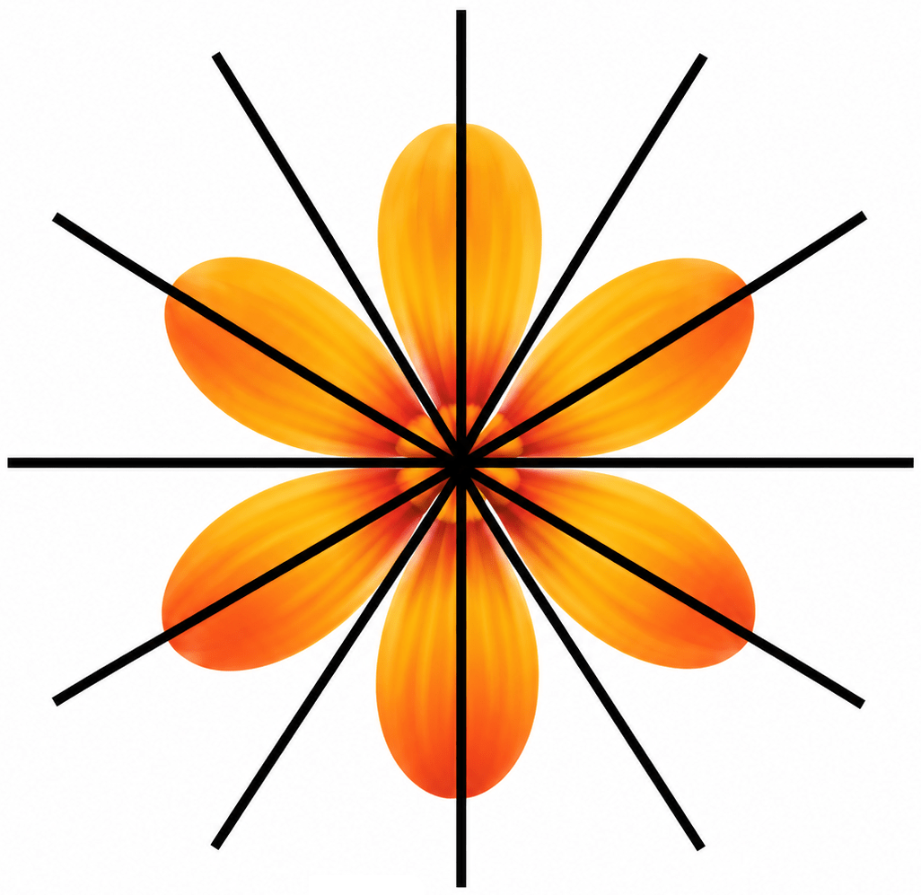 Do you see any line of symmetry in the figures at the start of the chapter? What about in the picture of the cloud? Symmetry, NCERT Class 6 Ganita Prakash Mathematics CBSE Solutions.