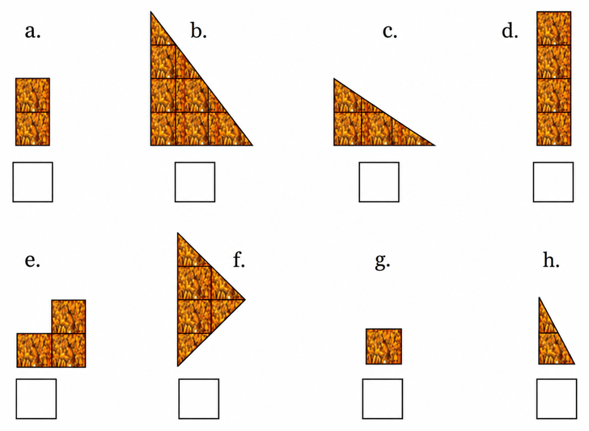 The figures below show different fractional units of a whole *chikki*. How much of a whole *chikki* is each piece? Fractions, NCERT Class 6 Ganita Prakash Mathematics CBSE Solutions.
