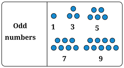 Copy the pictorial representations of the number sequences in Table 2 in your notebook, and draw the next picture for each sequence! Patterns in Mathematics, NCERT Class 6 Ganita Prakash Mathematics CBSE Solutions.