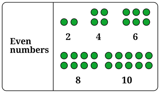 Copy the pictorial representations of the number sequences in Table 2 in your notebook, and draw the next picture for each sequence! Patterns in Mathematics, NCERT Class 6 Ganita Prakash Mathematics CBSE Solutions.