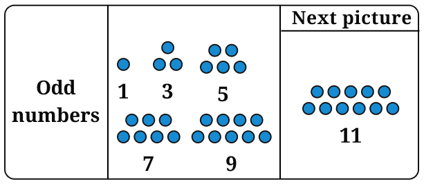 Copy the pictorial representations of the number sequences in Table 2 in your notebook, and draw the next picture for each sequence! Patterns in Mathematics, NCERT Class 6 Ganita Prakash Mathematics CBSE Solutions.