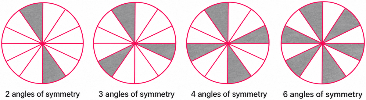 Colour the sectors of the circle below so that the figure has. Symmetry, NCERT Class 6 Ganita Prakash Mathematics CBSE Solutions.