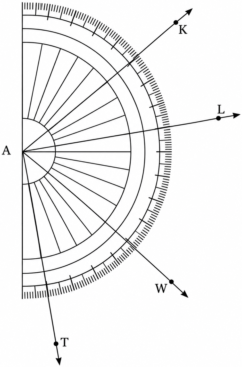 Write the measures of the following angles:. Lines & Angles, NCERT Class 6 Ganita Prakash Mathematics CBSE Solutions.