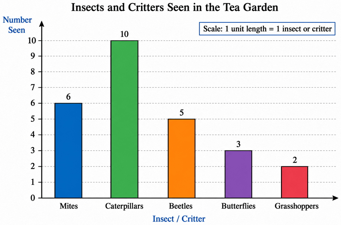 Samantha visited a tea garden, and collected data of the insects and critters she saw there. Here is the data she collected: Help her prepare a bar graph representing this data. Data Handling & Presentation, NCERT Class 6 Ganita Prakash Mathematics CBSE Solutions.