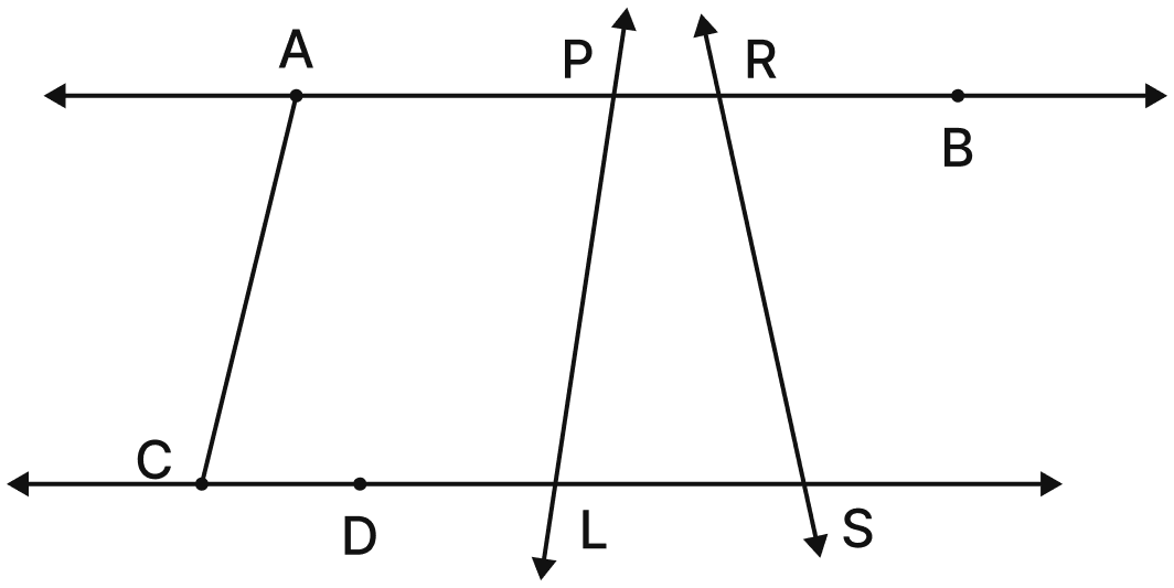 In Fig. 2.23, list all the angles possible. Did you find them all? Now, guess the measures of all the angles. Then, measure the angles with a protractor. Record all your numbers in a table. See how close your guesses are to the actual measures. Lines & Angles, NCERT Class 6 Ganita Prakash Mathematics CBSE Solutions.