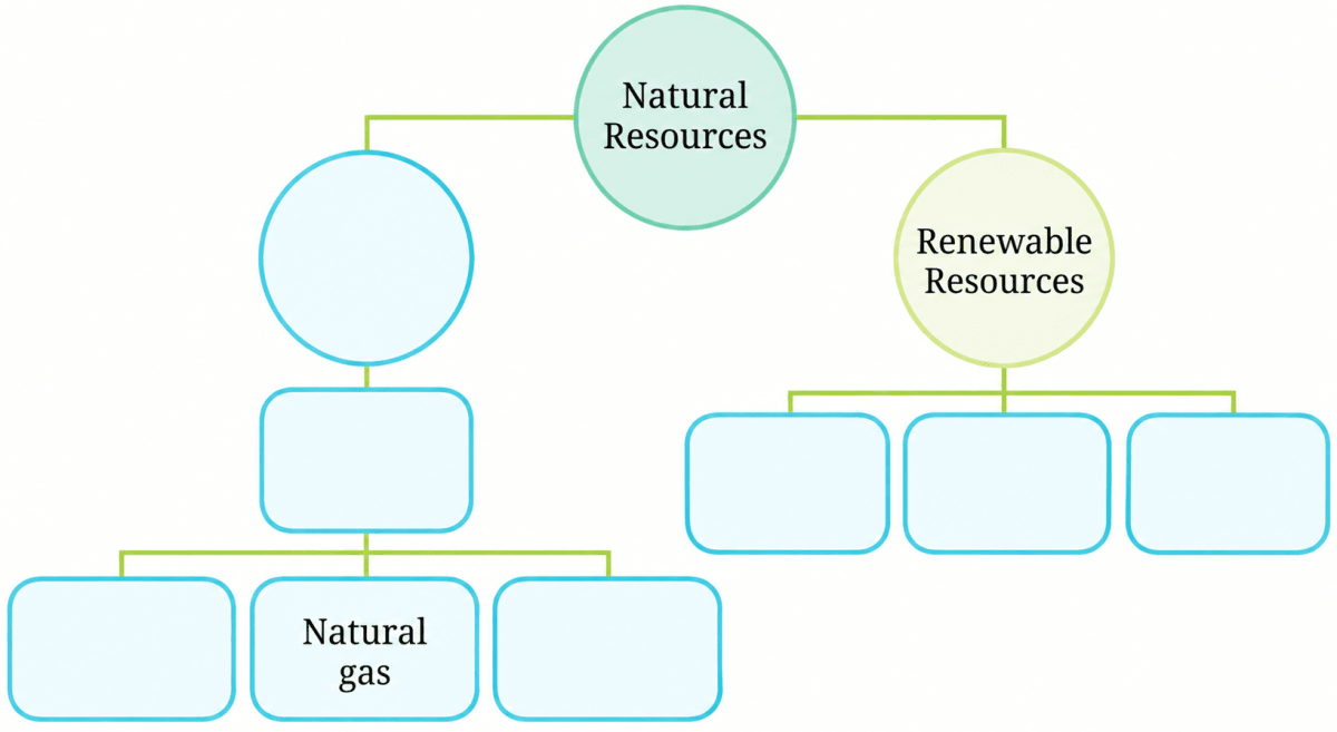 Fill up the blanks using the following terms— (fossil fuels, forest, air, petroleum, coal, water and non-renewable resource). Nature's Treasures, NCERT Class 6 Curiosity Science CBSE Solutions.