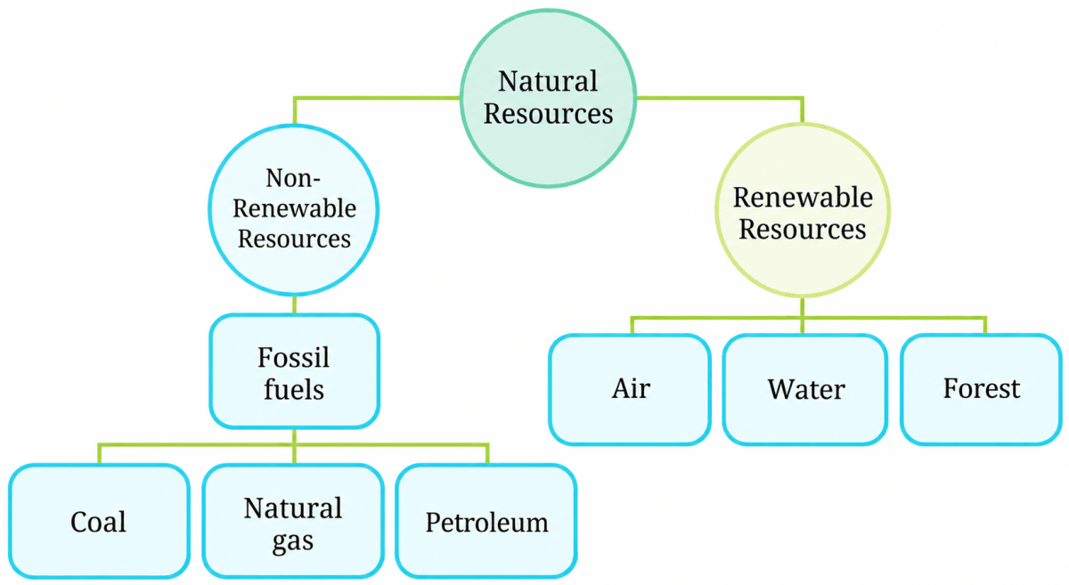 Fill up the blanks using the following terms— (fossil fuels, forest, air, petroleum, coal, water and non-renewable resource). Nature's Treasures, NCERT Class 6 Curiosity Science CBSE Solutions.