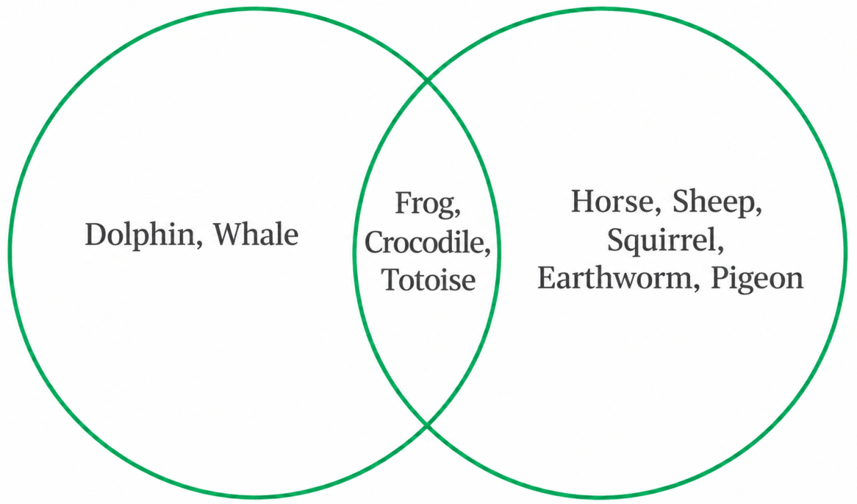 Names of some animals are given below. Group them based on their habitats. Write the names of aquatic animals in the area marked A and terrestrial animals in the area marked B. Enter the names of animals living in both habitats in part C. Horse, Dolphin, Frog, Sheep, Crocodile, Squirrel, Whale, Earthworm, Pigeon, Tortoise. Diversity in the living world, NCERT Class 6 Science CBSE Solutions.