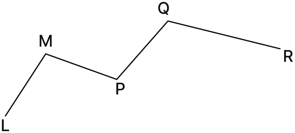 Name the line segments in Fig. 2.4. Which of the five marked points are on exactly one of the line segments? Which are on two of the line segments? Lines & Angles, NCERT Class 6 Ganita Prakash Mathematics CBSE Solutions.