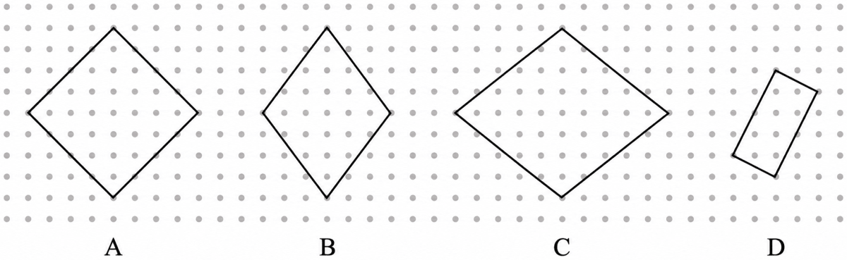 Identify if there are any squares in this collection. Use measurements if needed. Playing with Constructions, NCERT Class 6 Ganita Prakash Mathematics CBSE Solutions.