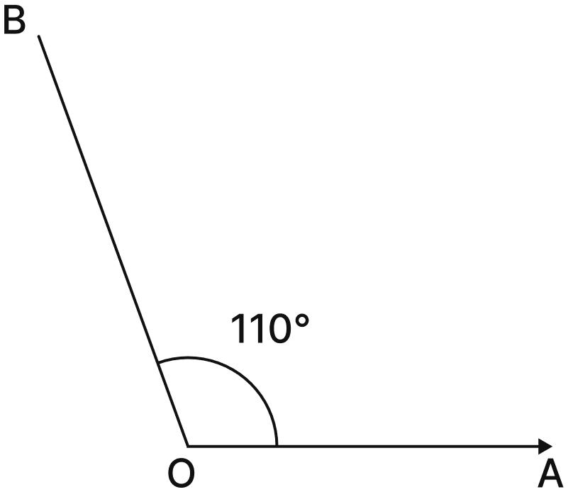 Use a protractor to draw angles having the following degree measures:. Lines & Angles, NCERT Class 6 Ganita Prakash Mathematics CBSE Solutions.