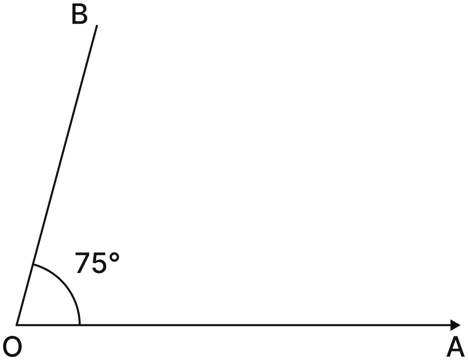 Use a protractor to draw angles having the following degree measures:. Lines & Angles, NCERT Class 6 Ganita Prakash Mathematics CBSE Solutions.