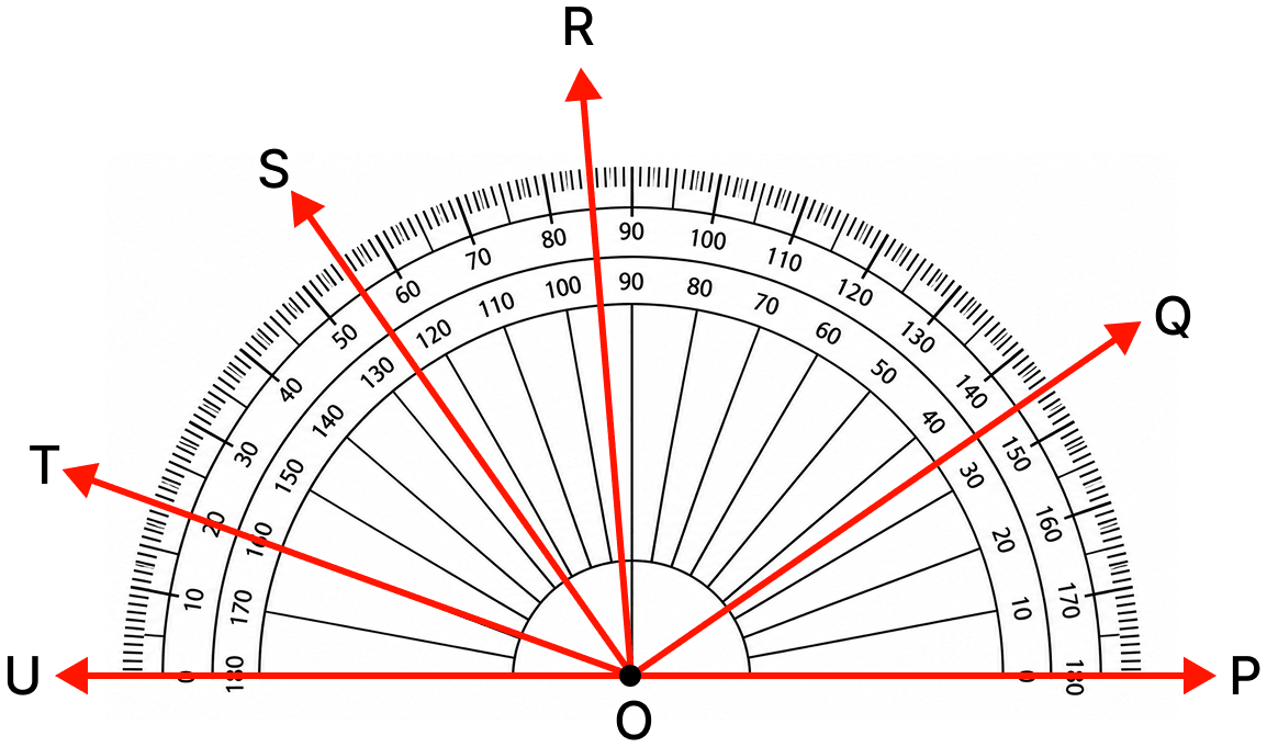 Name the different angles in the figure and write their measures. Lines & Angles, NCERT Class 6 Ganita Prakash Mathematics CBSE Solutions.