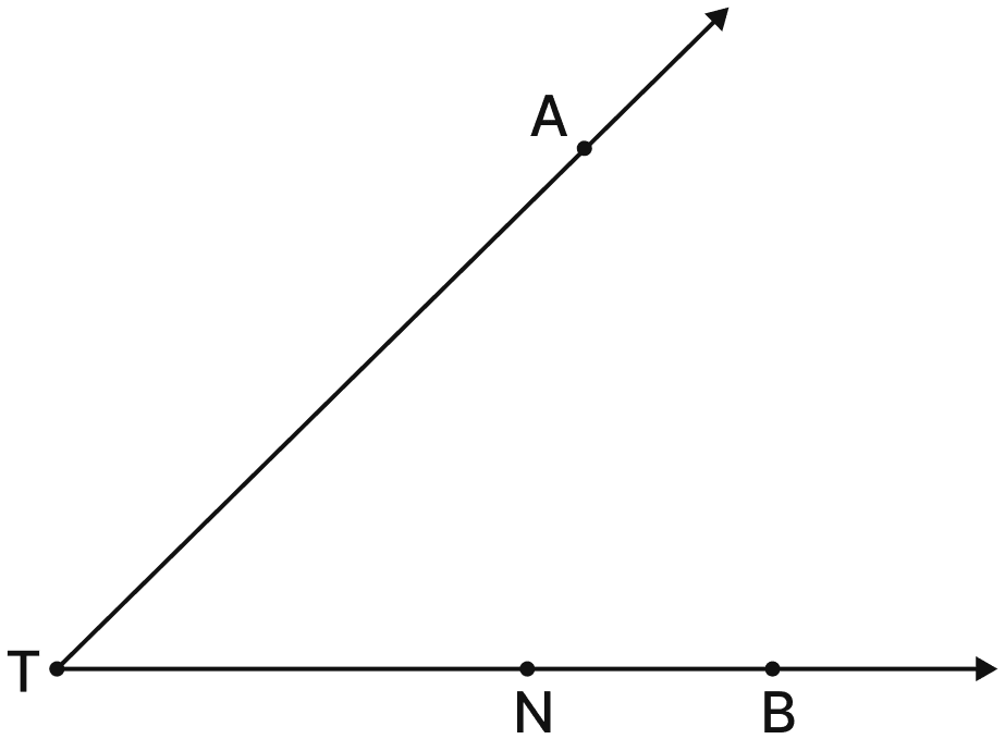 Name the rays shown in Fig. 2.5. Is T the starting point of each of these rays? Lines & Angles, NCERT Class 6 Ganita Prakash Mathematics CBSE Solutions.