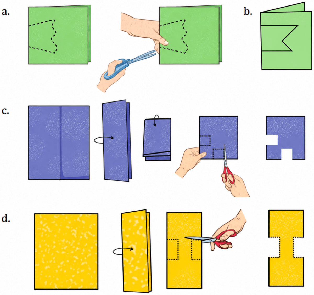 After each of the following cuts, predict the shape of the hole when the paper is opened. After you have made your prediction, make the cutouts and verify your answer. Symmetry, NCERT Class 6 Ganita Prakash Mathematics CBSE Solutions.