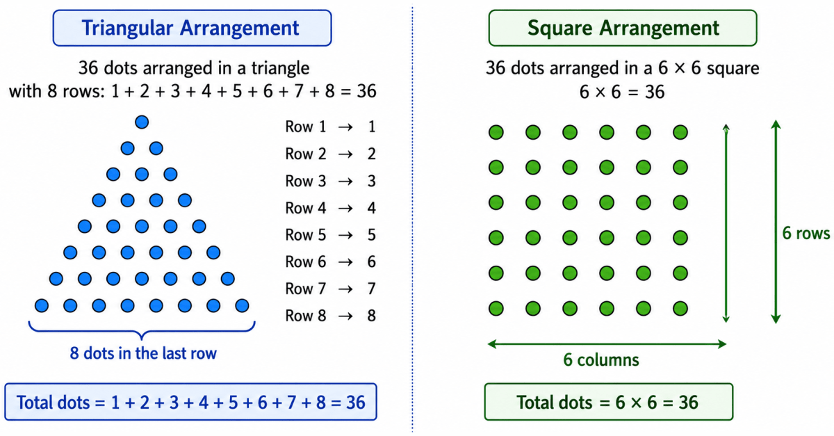 You will have noticed that 36 is both a triangular number and a square number! That is, 36 dots can be arranged perfectly both in a triangle and in a square. Make pictures in your notebook illustrating this! This shows that the same number can be represented differently, and play different roles, depending on the context. Try representing some other numbers pictorially in different ways! Patterns in Mathematics, NCERT Class 6 Ganita Prakash Mathematics CBSE Solutions.
