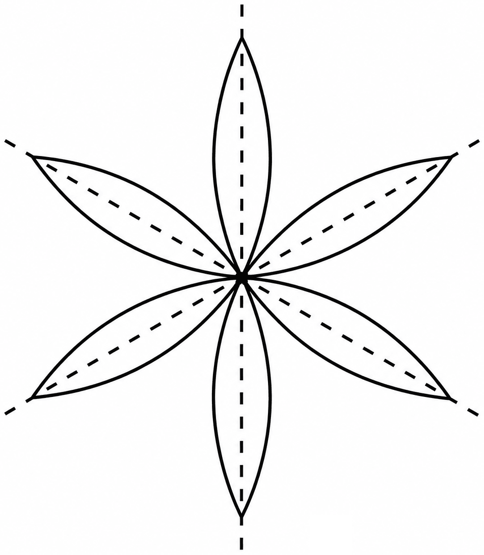 Can you draw a figure with radial arms that has. Symmetry, NCERT Class 6 Ganita Prakash Mathematics CBSE Solutions.
