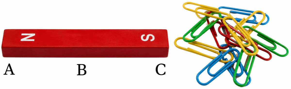 Atharv performed an experiment in which he took a bar magnet and rolled it over a heap of steel U-clips (Fig. 4.15). According to you, which of the options given in Table 4.3 is likely to be his observation? Table 4.3: Number of pins attracted by the magnet at its various positions. Exploring Magnets, NCERT Class 6 Curiosity Science CBSE Solutions.