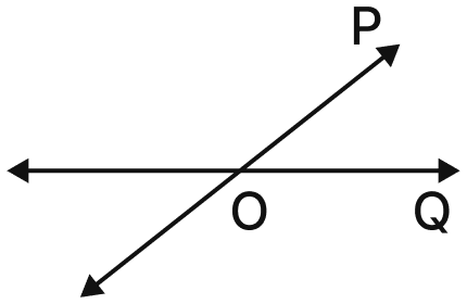 Draw a rough figure and write labels appropriately to illustrate each of the following:. Lines & Angles, NCERT Class 6 Ganita Prakash Mathematics CBSE Solutions.