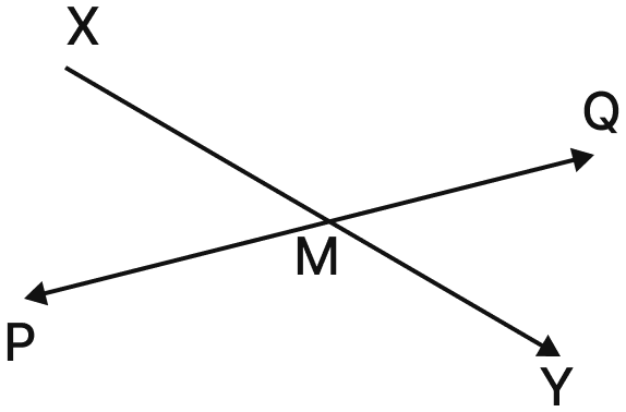 Draw a rough figure and write labels appropriately to illustrate each of the following:. Lines & Angles, NCERT Class 6 Ganita Prakash Mathematics CBSE Solutions.