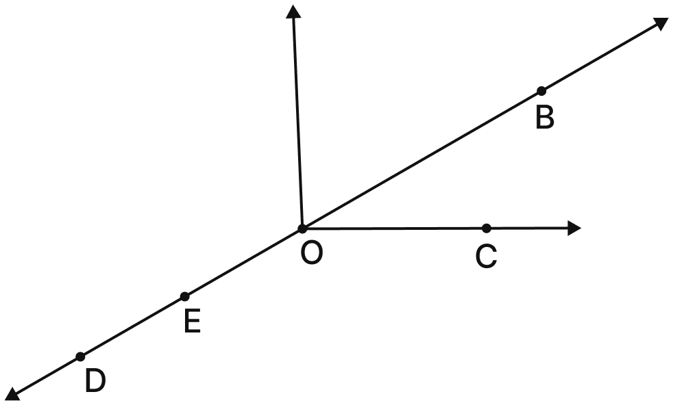 In Fig. 2.6, name:. Lines & Angles, NCERT Class 6 Ganita Prakash Mathematics CBSE Solutions.