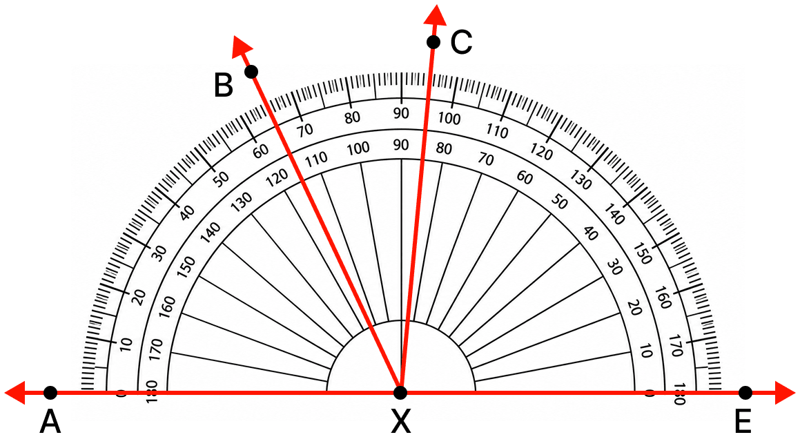 Find the degree measures of ∠BXE, ∠CXE, ∠AXB and ∠BXC. Lines & Angles, NCERT Class 6 Ganita Prakash Mathematics CBSE Solutions.