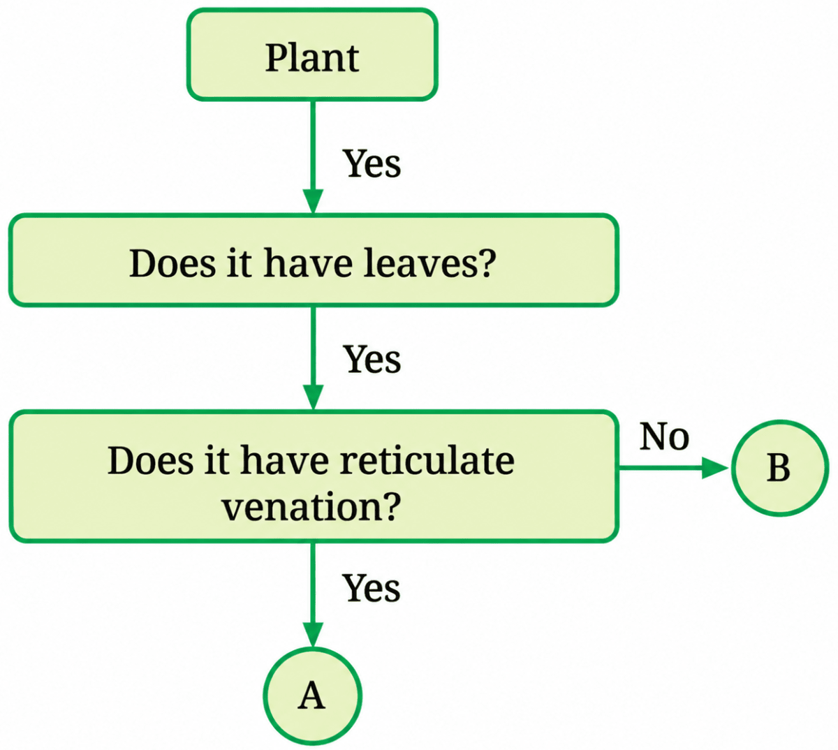 Analyse the flowchart. What can be examples of 'A' and 'B'? | KnowledgeBoat