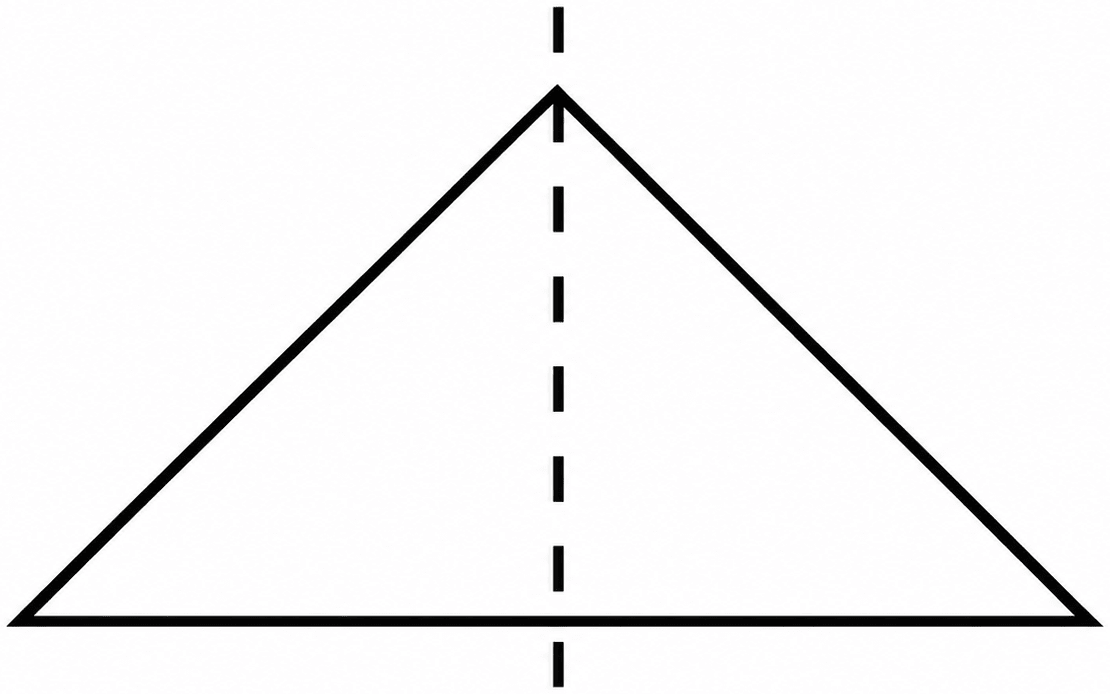 Draw the following. Symmetry, NCERT Class 6 Ganita Prakash Mathematics CBSE Solutions.