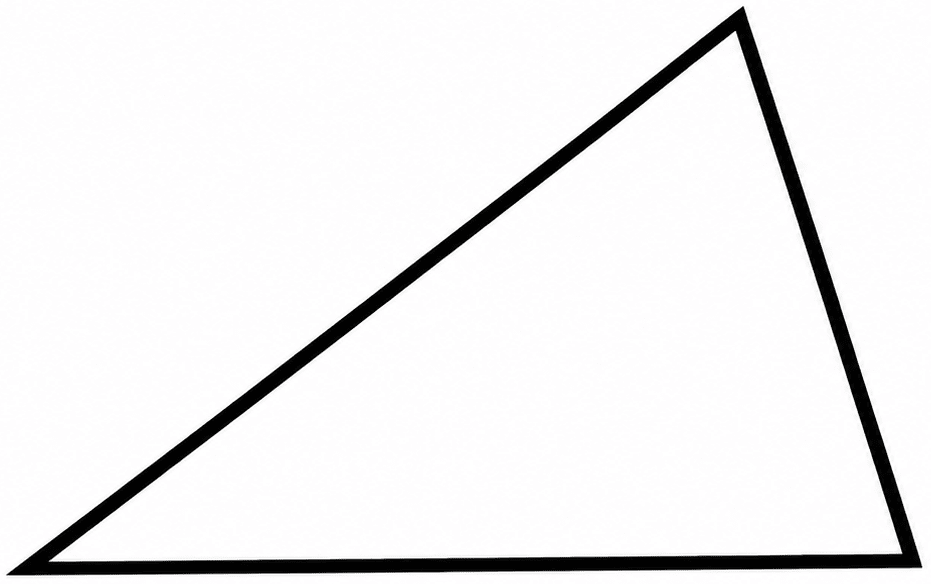 Draw the following. Symmetry, NCERT Class 6 Ganita Prakash Mathematics CBSE Solutions.
