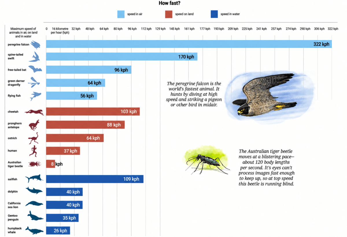 The following infographic shows the speeds of a few animals in air, on land, and in water. Can we call this graph a bar graph? Connecting the dots, NCERT Class 7 Ganita Prakash Mathematics CBSE Solutions.