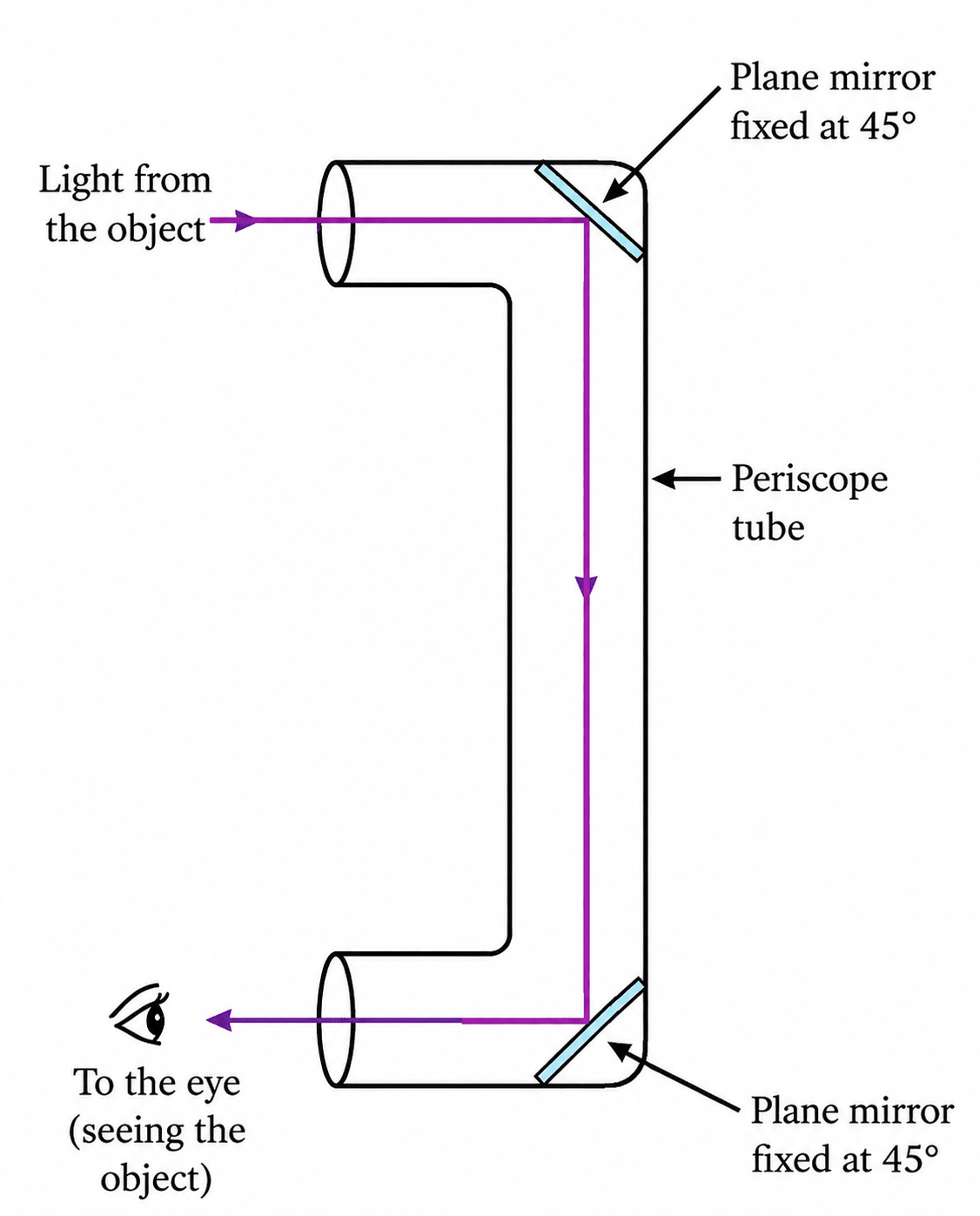 Suppose you are given a tube of the shape shown in the Fig. 11.20 and two plane mirrors smaller than the diameter of the tube. Can this tube be used to make a periscope? If yes, mark where you will fix the plane mirrors. Light: Shadows & Reflections, NCERT Class 7 Science CBSE Solutions.