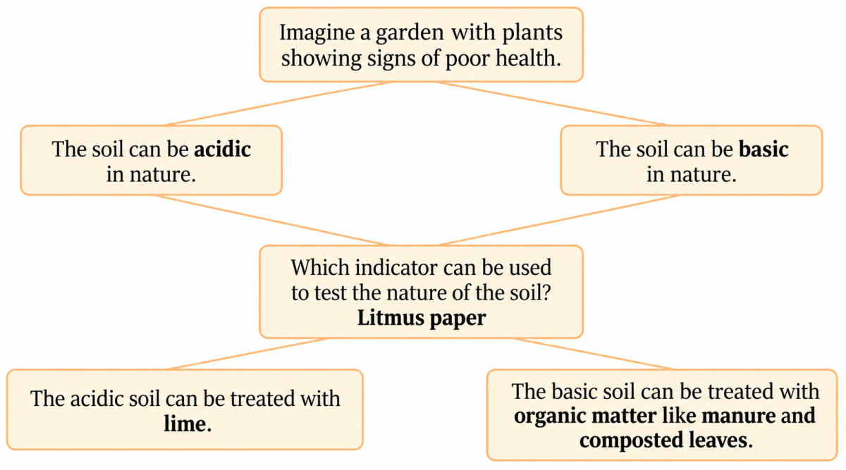 Observe and analyse the information given in the following flowchart. Complete the missing information. Exploring Substances: Acidic, Basic, & Neutral, NCERT Class 7 Science CBSE Solutions.