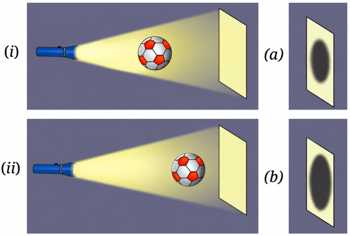 The shadow of a ball is formed on a wall by placing the ball in front of a fixed torch as shown in Fig. 11.18. In scenario (i) the ball is closer to the torch, while in scenario (ii) the ball is closer to the wall. Choose the most accurate representation of the shadows formed in both scenarios from the options provided (a and b). Light: Shadows & Reflections, NCERT Class 7 Science CBSE Solutions.