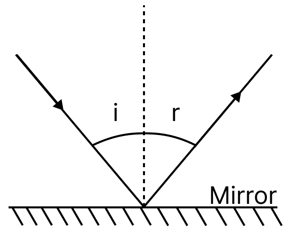 A light ray is incident on a mirror and gets reflected by it (Fig. 10.21). The angle made by the incident ray with the normal to the mirror is 40°. What is the angle made by the reflected ray with the mirror. Light: Mirrors and Lenses, NCERT Class 8 Science CBSE Solutions.