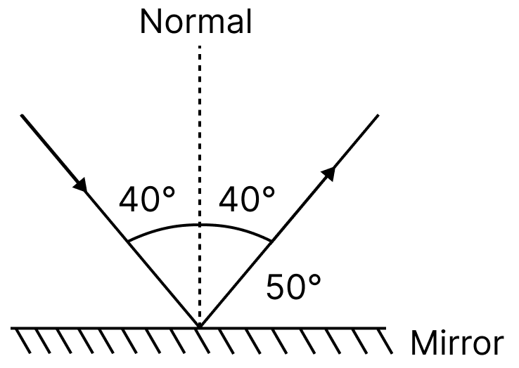 A light ray is incident on a mirror and gets reflected by it (Fig. 10.21). The angle made by the incident ray with the normal to the mirror is 40°. What is the angle made by the reflected ray with the mirror. Light: Mirrors and Lenses, NCERT Class 8 Science CBSE Solutions.