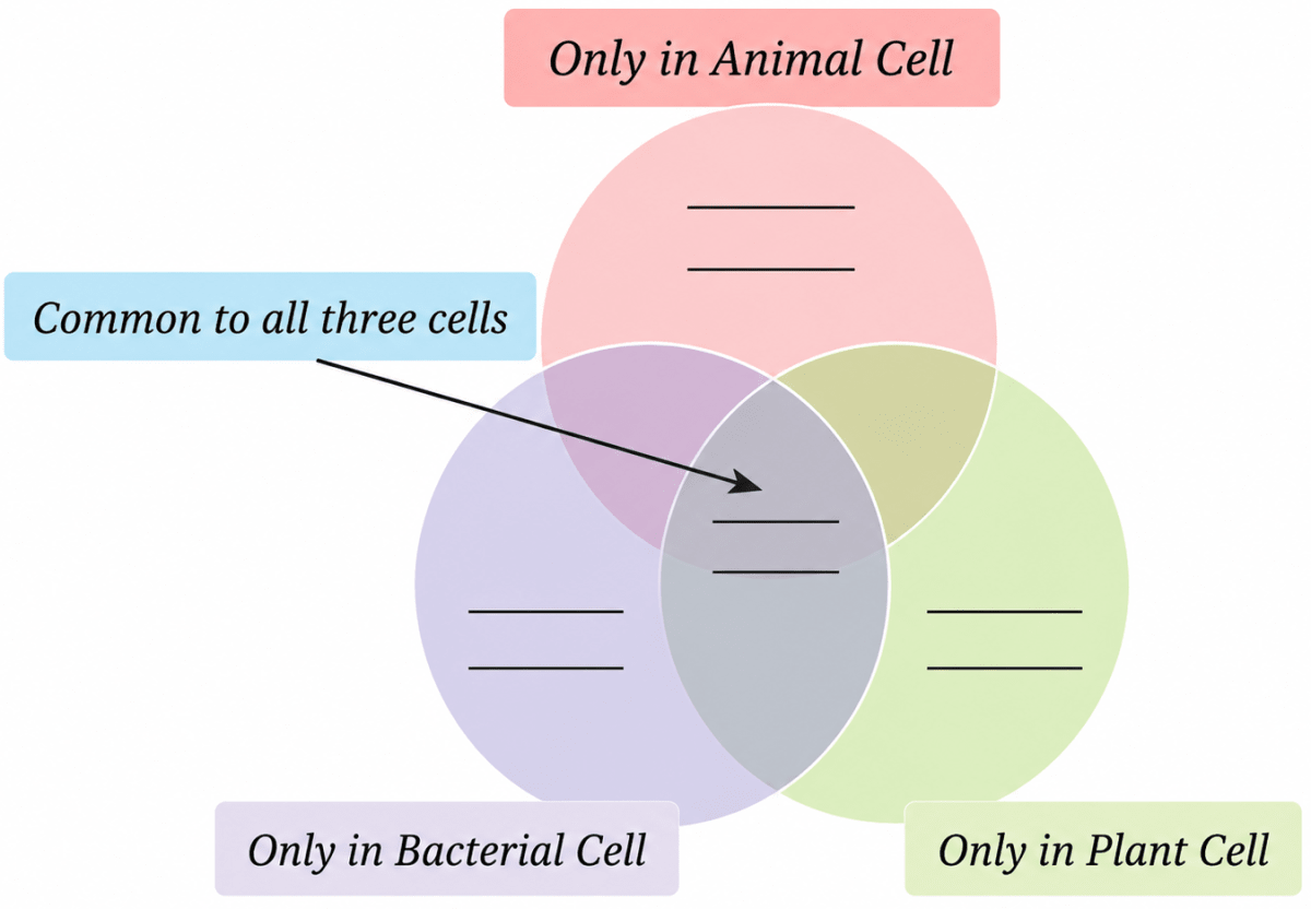 Various parts of a cell are given below. Write them in the appropriate places in the following diagram. NCERT Class 8 Science CBSE Solutions.