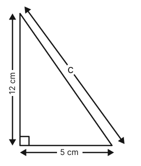 If a right-angled triangle has shorter sides of lengths 5 cm and 12 cm, then what is the length of its hypotenuse? First draw the right-angled triangle with these sidelengths and measure the hypotenuse, then check your answer using Baudhāyanas Theorem. The Baudhayana - Pythagoras Theorem, NCERT Class 8 Ganita Prakash Mathematics CBSE Solutions.