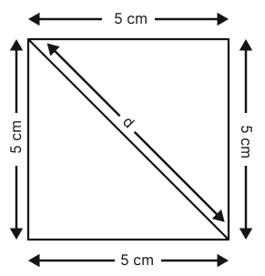 Find the diagonal of a square with sidelength 5 cm. The Baudhayana - Pythagoras Theorem, NCERT Class 8 Ganita Prakash Mathematics CBSE Solutions.