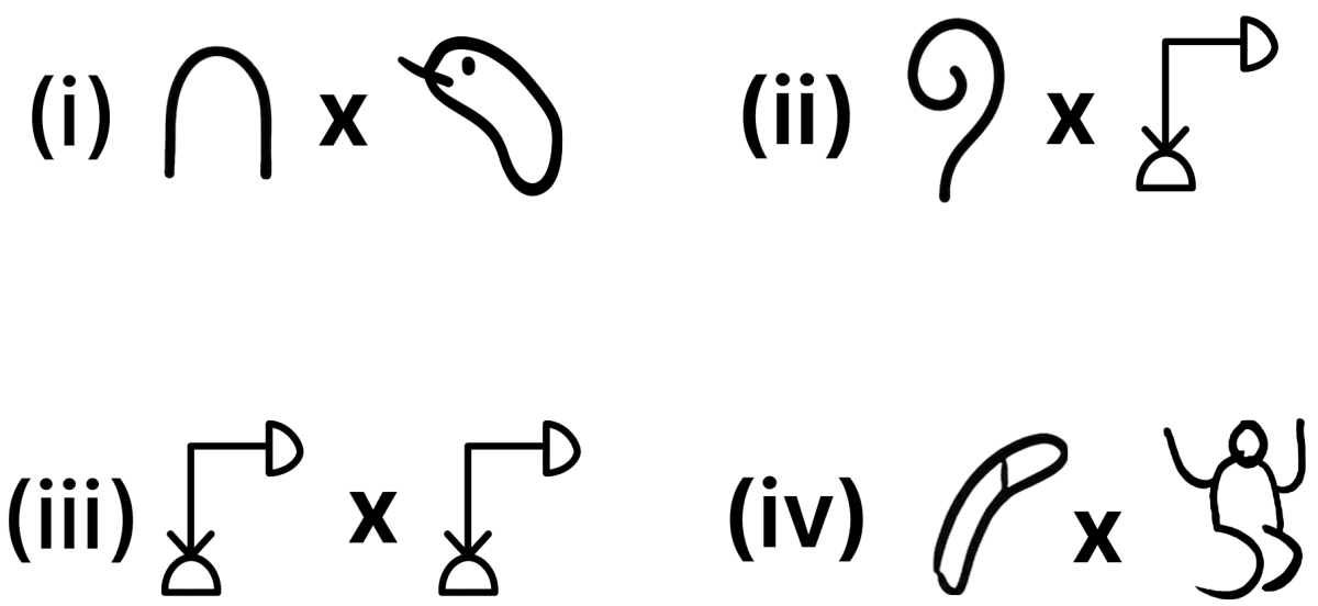 Find the following products. A story of Numbers, NCERT Class 8 Ganita Prakash Mathematics CBSE Solutions.