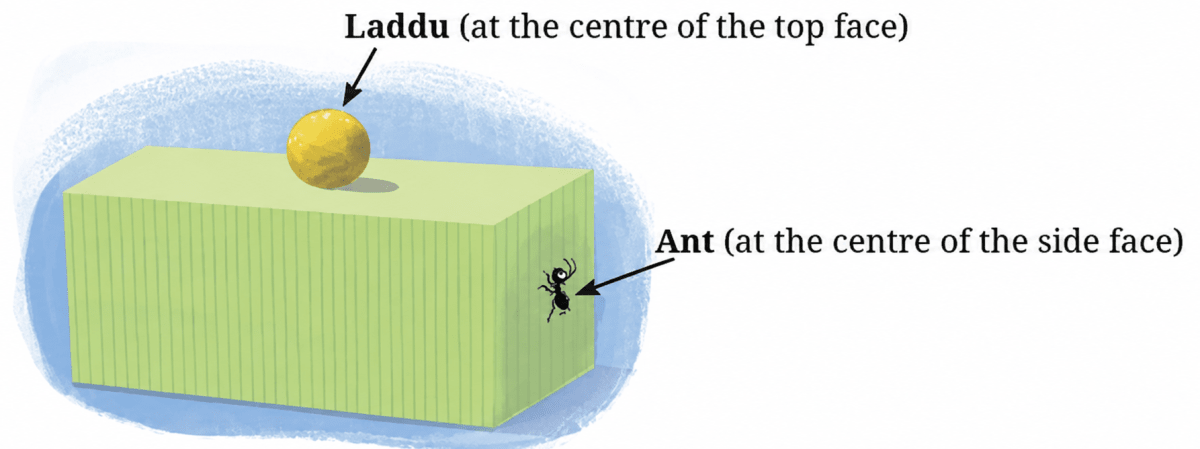 A hungry ant lives on the surface of a cuboid, with a laddu at the centre of the top face and the ant at the centre of the side face. What is the shortest path for the ant to reach the laddu? Exploring Some Geometric Themes, NCERT Class 8 Ganita Prakash Mathematics CBSE Solutions.