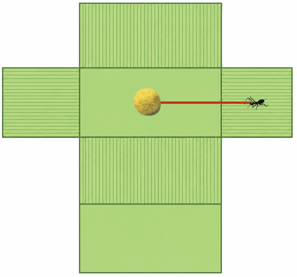 A hungry ant lives on the surface of a cuboid, with a laddu at the centre of the top face and the ant at the centre of the side face. What is the shortest path for the ant to reach the laddu? Exploring Some Geometric Themes, NCERT Class 8 Ganita Prakash Mathematics CBSE Solutions.