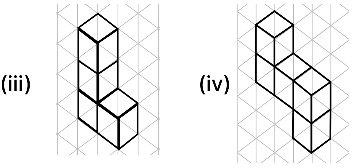 Imagine the five basic Tetris shapes are made of cubes, not squares. Draw each of these on your isometric paper. Exploring Some Geometric Themes, NCERT Class 8 Ganita Prakash Mathematics CBSE Solutions.