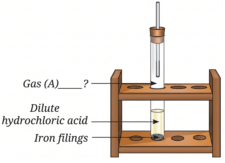 Analyse Fig. 8.24. Identify Gas A. Also, write the word equation of the chemical reaction. Nature of Matter: Elements, Compounds, and Mixtures, NCERT Class 8 Science CBSE Solutions.
