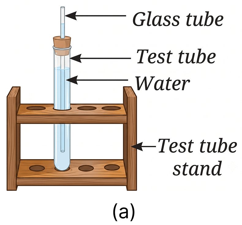 You are provided with an experimental setup as shown in Fig. 9.26a and 9.26b. On keeping the test tube (Fig 9.26b) in a beaker containing hot water (~70 °C), the water level in the glass tube rises. How does it affect the density. The Amazing World of Solutes, Solvents, and Solutions, NCERT Class 8 Science CBSE Solutions.