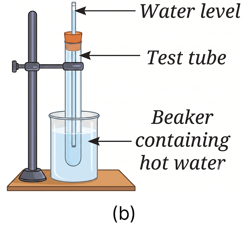 You are provided with an experimental setup as shown in Fig. 9.26a and 9.26b. On keeping the test tube (Fig 9.26b) in a beaker containing hot water (~70 °C), the water level in the glass tube rises. How does it affect the density. The Amazing World of Solutes, Solvents, and Solutions, NCERT Class 8 Science CBSE Solutions.