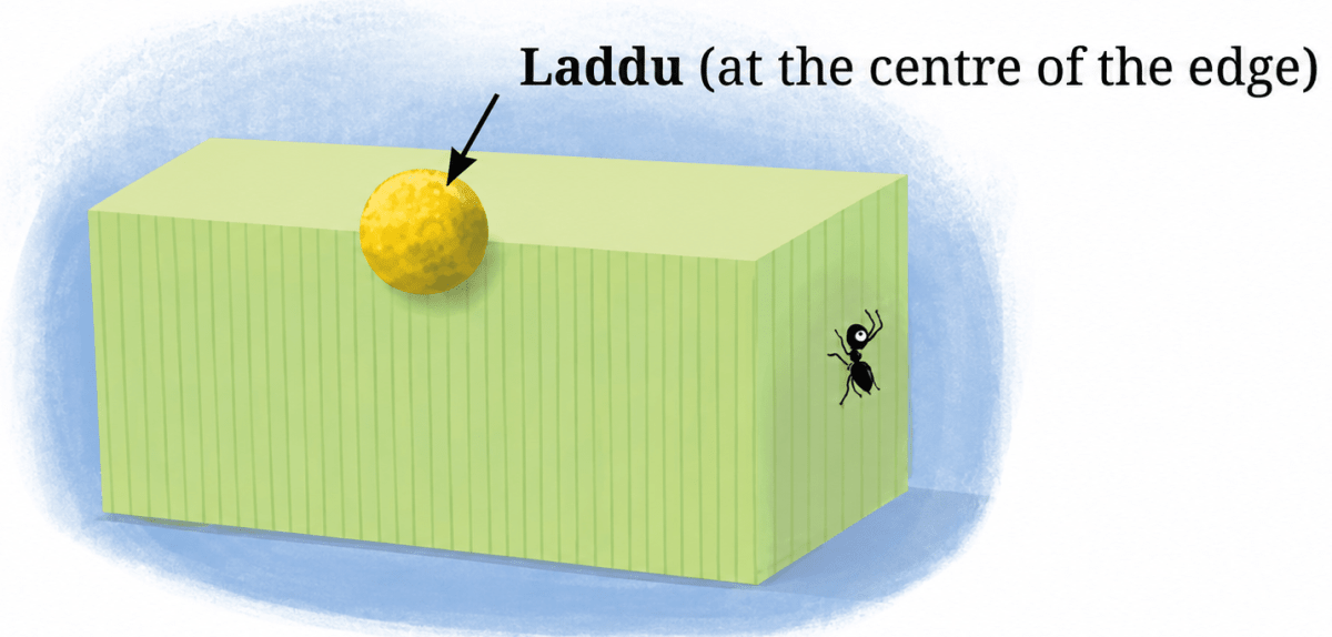 What about in the following case, where the laddu is at the centre of an edge? Exploring Some Geometric Themes, NCERT Class 8 Ganita Prakash Mathematics CBSE Solutions.