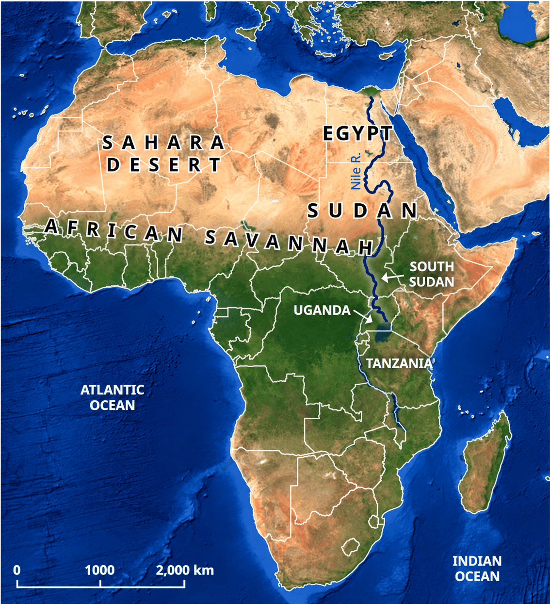 On the map (Fig. 1.22) locate the course of the River Nile. Where does it originate from and in which direction does it flow? Turn to the political map at the end of the book, and identify some of the areas that the river flows through. World Geography: Some Glimpses, CBSE Class 8th NCERT Social Science Solutions.