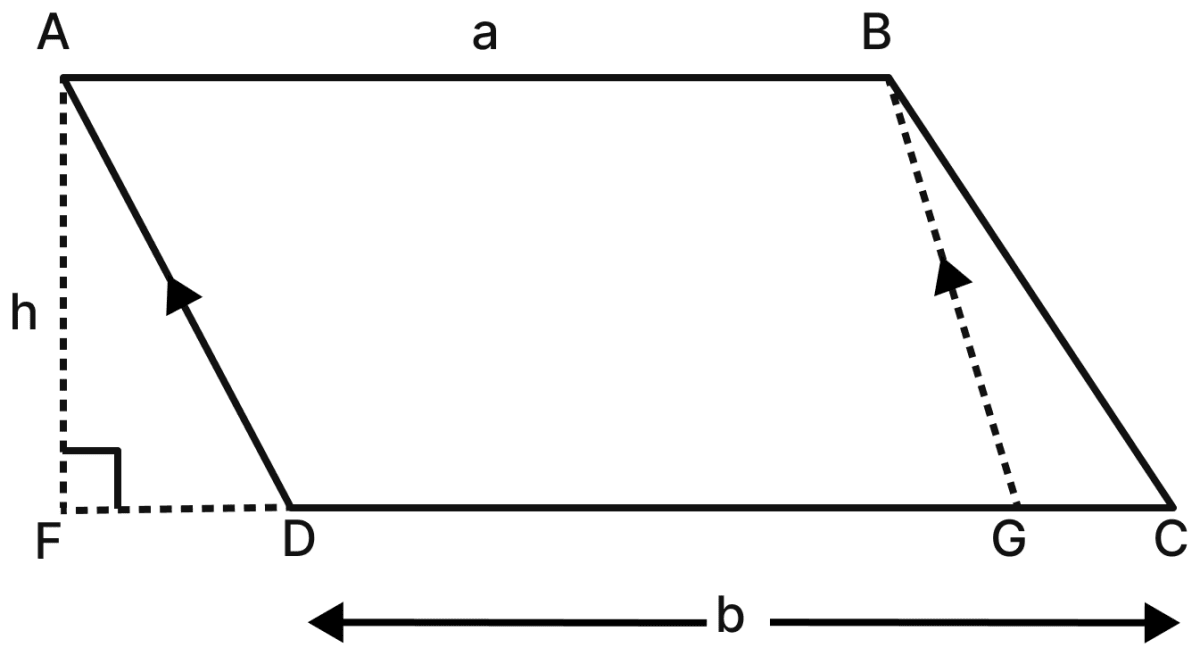 Will the formula Area of a trapezium = 1/2 × height × sum of the parallel sides hold for a trapezium that looks like this? There are different ways of approaching this, which are sketched below (Approach 1: Rectangle and Triangles; Approach 2: Parallelogram and Triangle). Complete the arguments. Area, NCERT Class 8 Ganita Prakash Mathematics CBSE Solutions.
