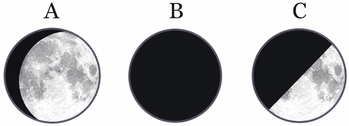 Look at the pictures of the Moon in Fig. 11.11, and answer the following questions. Keeping Time with the Skies, NCERT Class 8 Science CBSE Solutions.