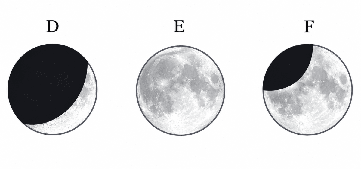 Look at the pictures of the Moon in Fig. 11.11, and answer the following questions. Keeping Time with the Skies, NCERT Class 8 Science CBSE Solutions.